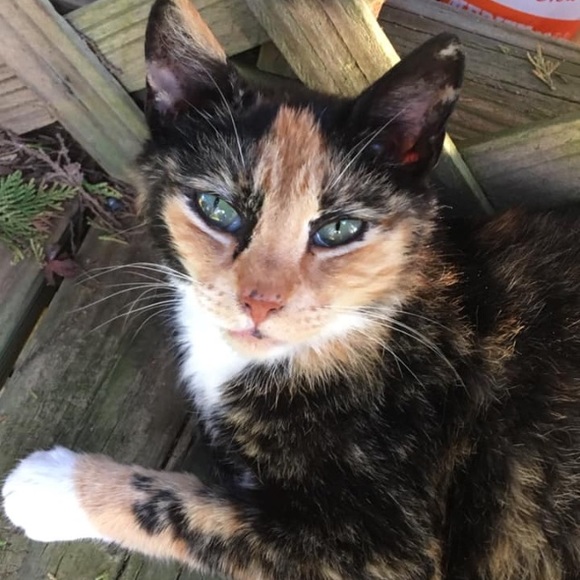 Meet Your Seller/Buyer Jessie! - Picture 5 of 5